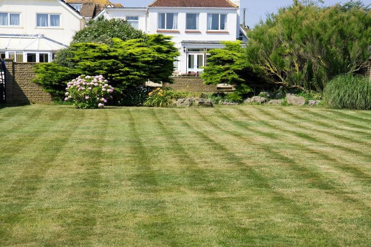 Beautiful Lawn after mowing